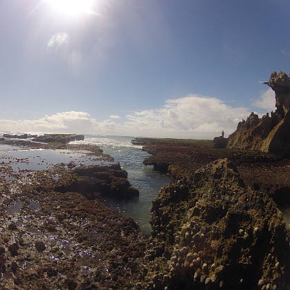 Image of Bushmans River